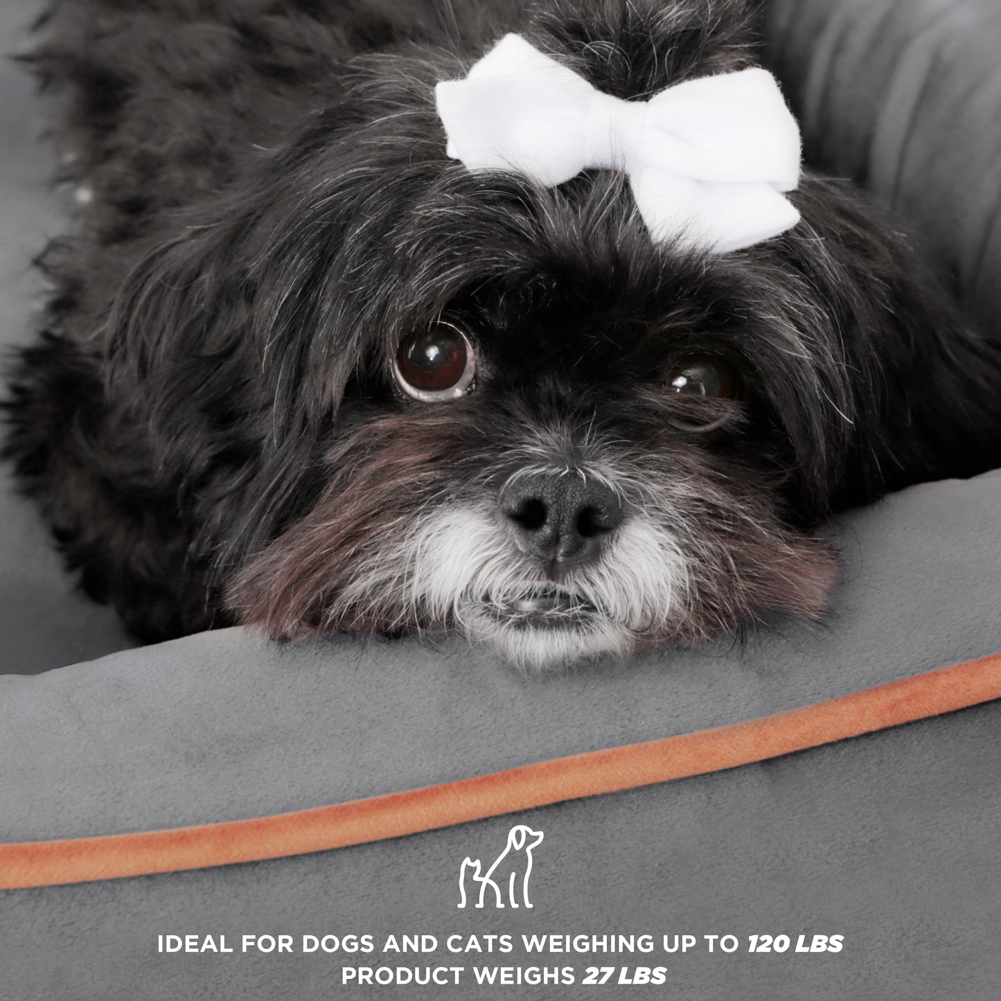 Wyatt Elevated Wooden Pet Bed with Mattress and Storage | Greenguard Gold Certified for Small to Medium Pets